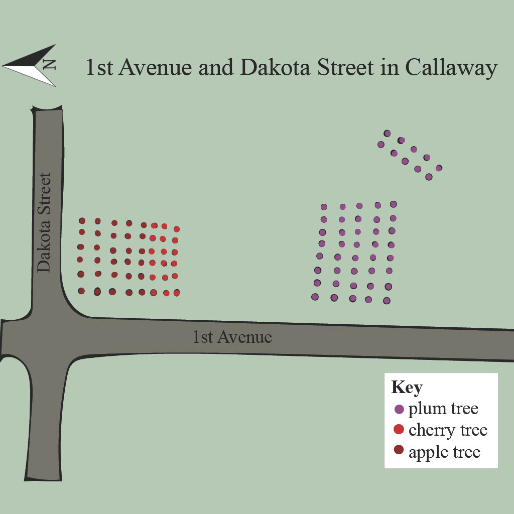 1st Avenue and Dakota