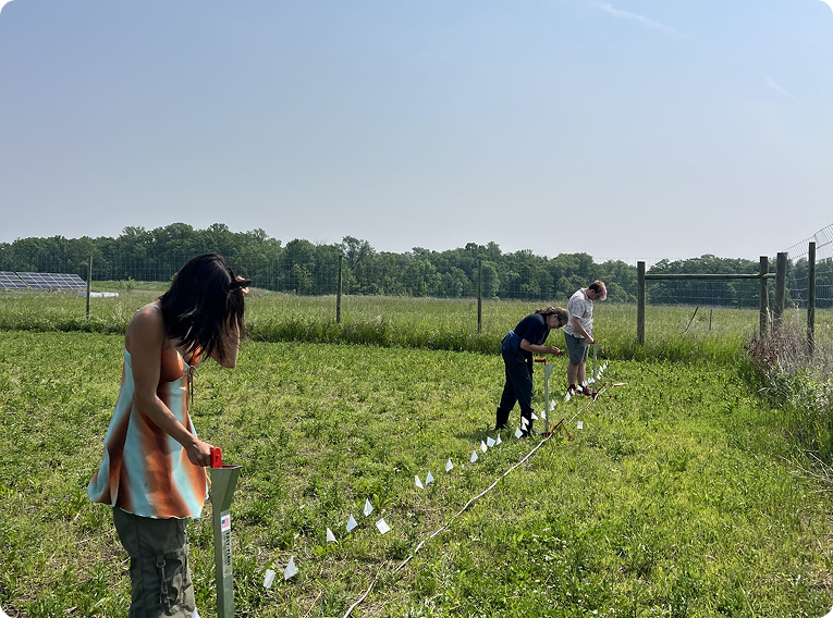 Community members working together in an agricultural field during a planting and land stewardship activity.