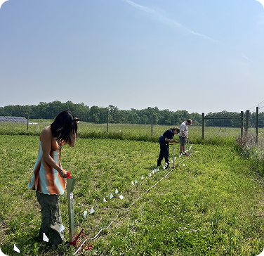 Community members participating in an outdoor field project.
