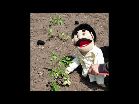 Gardening with Miishidoone