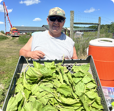 Community member holding freshly harvested traditional plants outdoors.