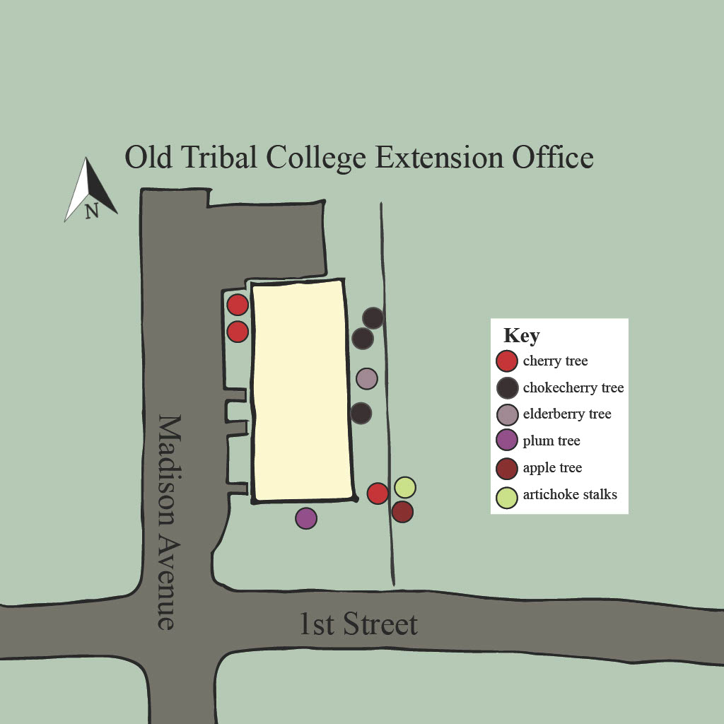 Old tribal college extension