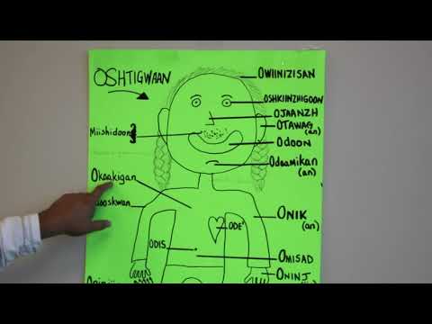 Parts of the Body