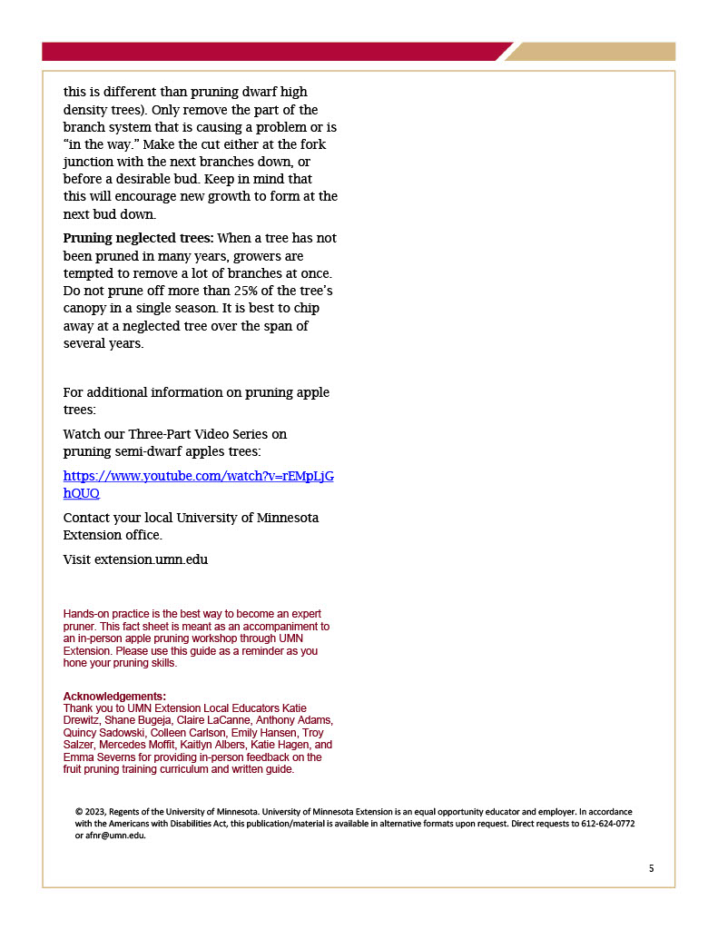 Pruning Semi-Dwarf and Standard Apple Trees page 5