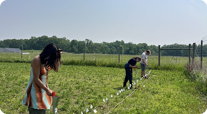 Community members participating in an outdoor field project.