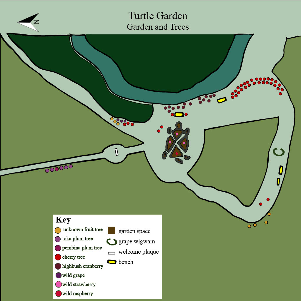 Turtle Garden