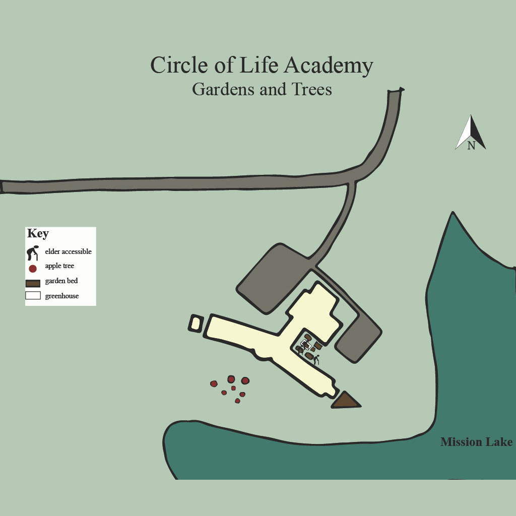 circle of life
