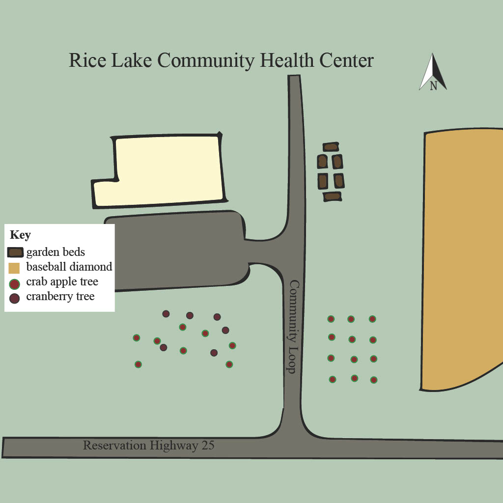 rice lake community health