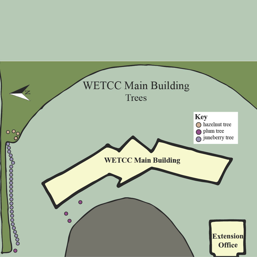 wetcc main building