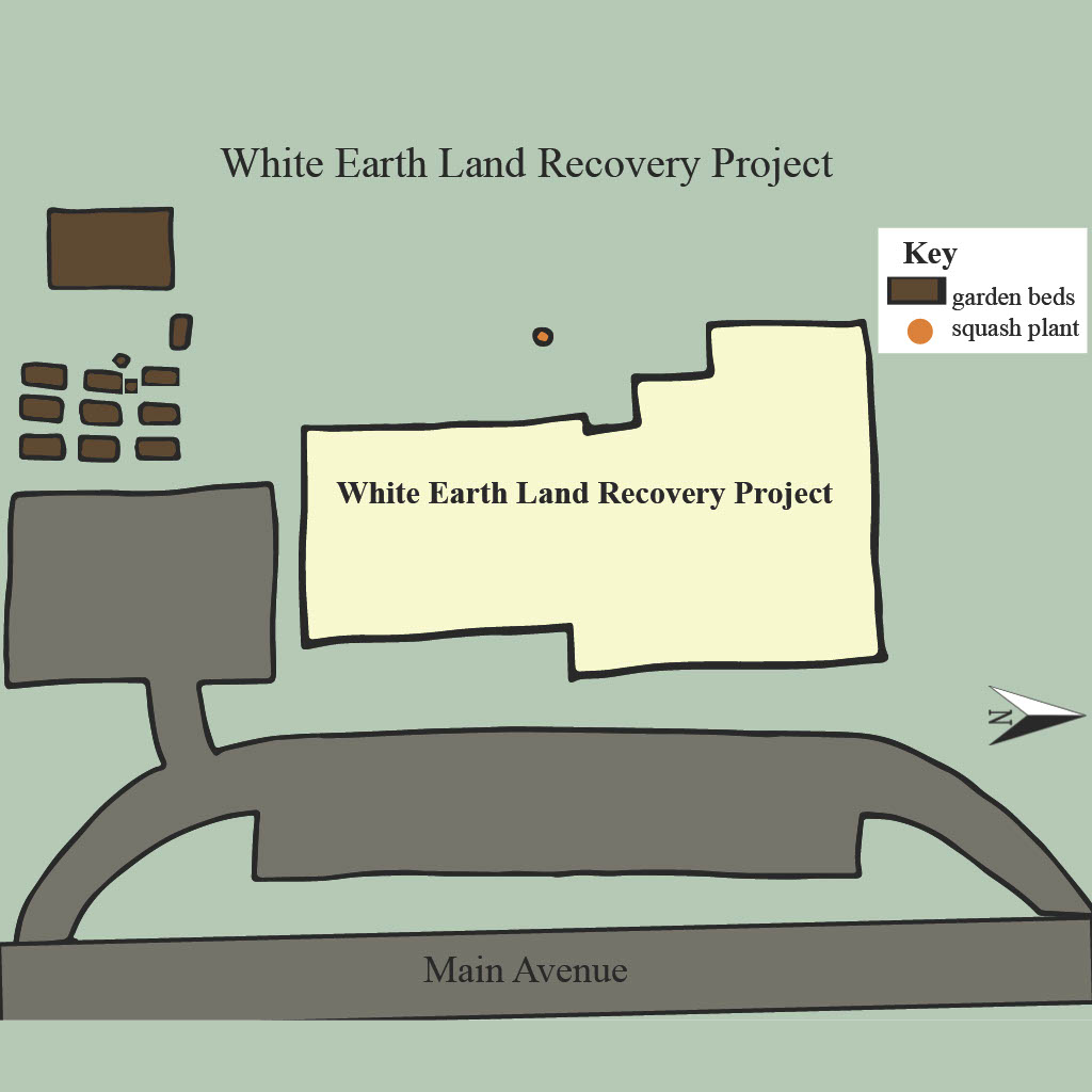 white earth land recovery project
